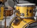 Click to view larger version. Gold Premier kit on display at Grammy Museum, courtesy Lee Harrington. Photo 4 (tom)